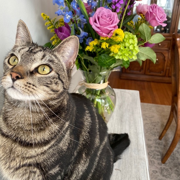 Meet your Posher, Amy - Picture 8 of 9